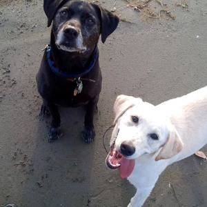 Meet your Posher, Selina